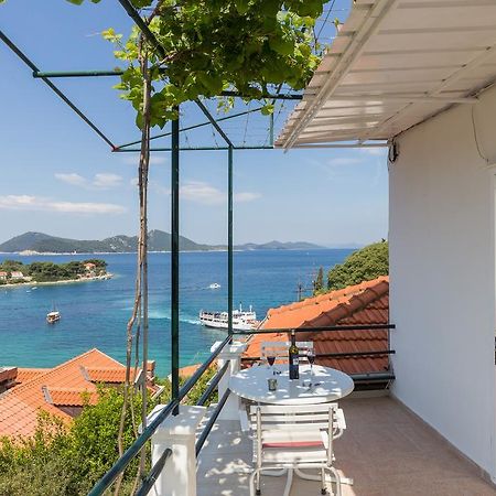 Apartments Miskovic Donje Celo Luaran gambar